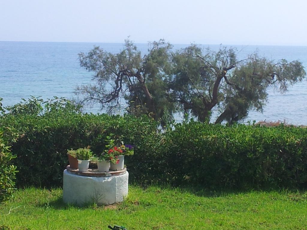 Beach Bungalows Kypseli Rom bilde