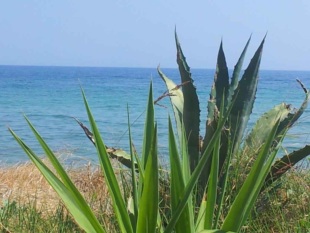 Beach Bungalows Kypseli Rom bilde